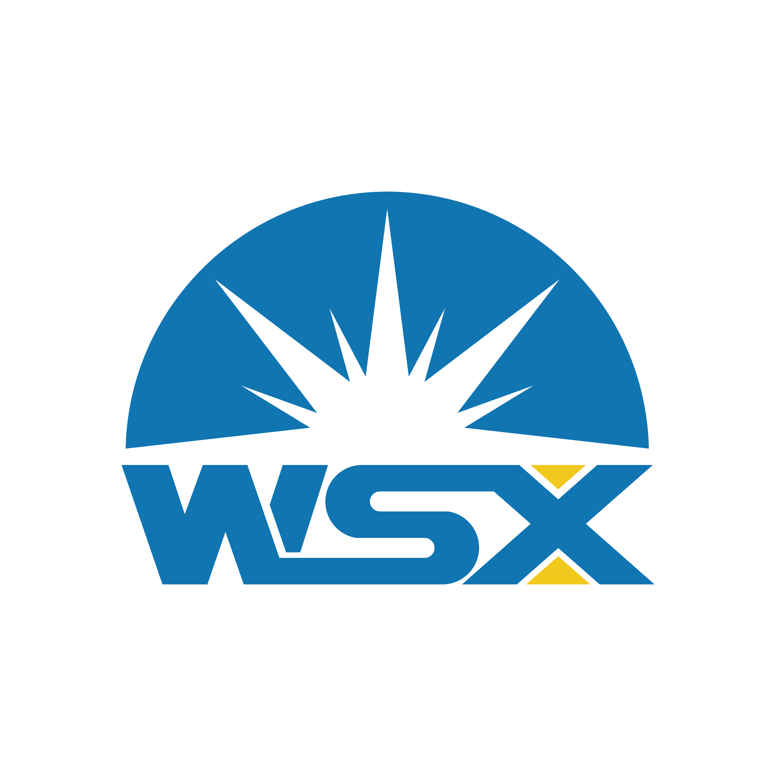 شرکت wsx