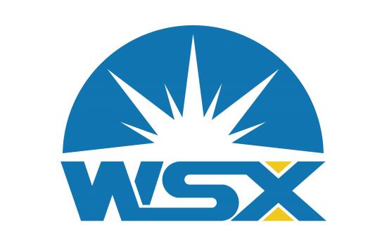 شرکت wsx